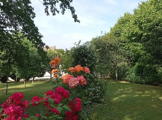 B&B I Sassetti 폴리뇨