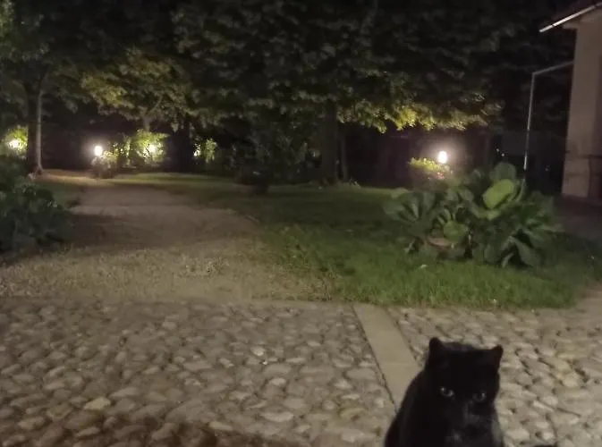 I Sassetti 3* 폴리뇨